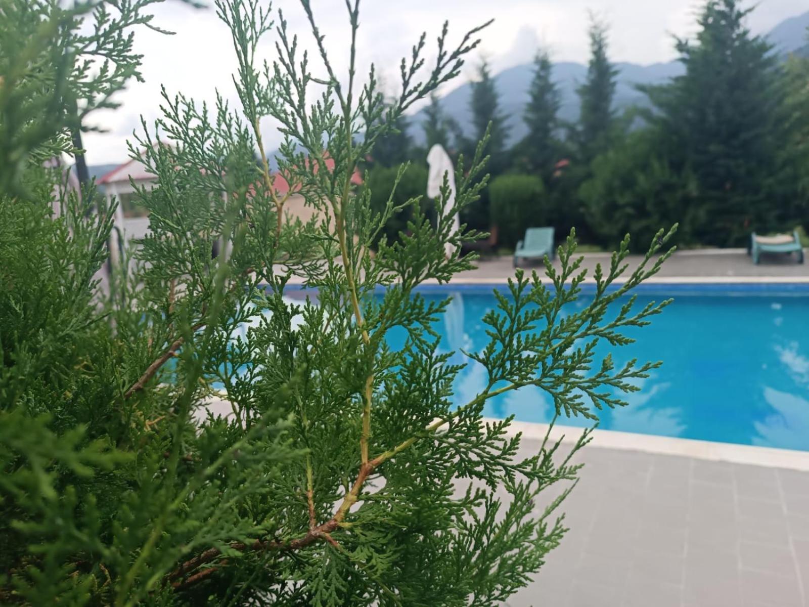 Gabala Bliss Inn Hotel And Restaurant Exteriör bild