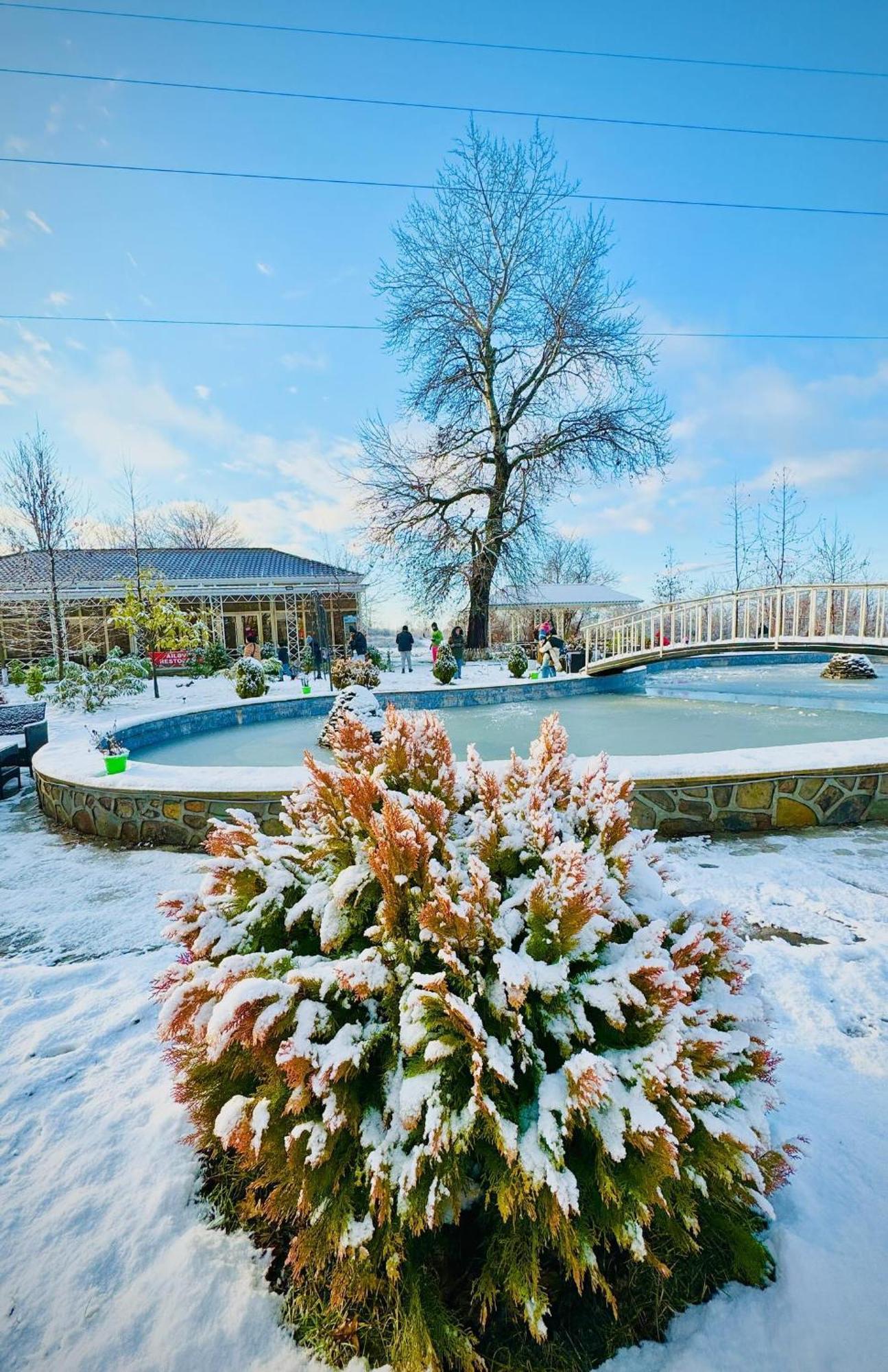 Gabala Bliss Inn Hotel And Restaurant Exteriör bild
